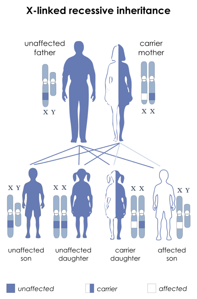 DUCHENNE MUSCULAR DYSTROPHY(DMD) – ORD India
